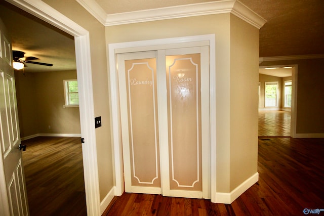 corridor featuring hardwood / wood-style flooring, a healthy amount of sunlight, and ornamental molding