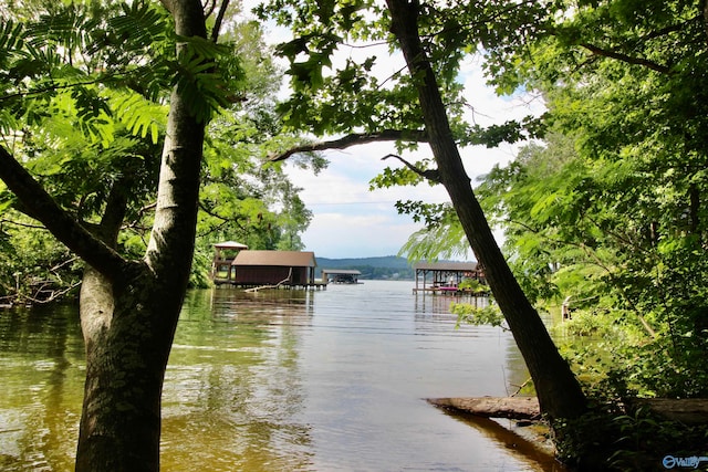 view of water feature with a dock