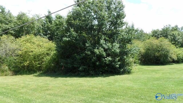 Listing photo 3 for 51AC Mimosa St, Glencoe AL 35903