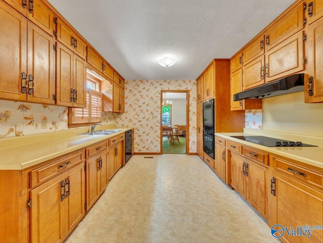 1913 Ruth St, Scottsboro, AL 35769 - kitchen with wallpapered walls, light countertops, under cabinet range hood, brown cabinets, and black appliances