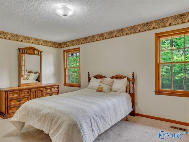 1913 Ruth St, Scottsboro, AL 35769 - carpeted bedroom featuring baseboards, multiple windows, a textured ceiling, and visible vents