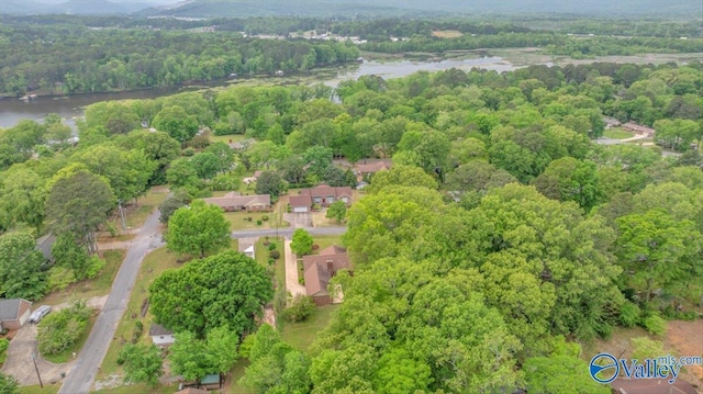 1913 Ruth St, Scottsboro, AL 35769 - birds eye view of property with a view of trees