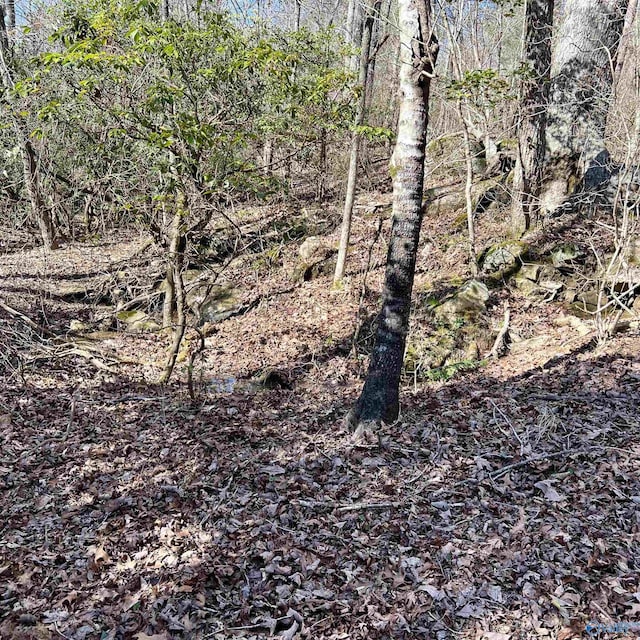 10ACRES Bear Creek Rd SE, Fort Payne, AL 35967