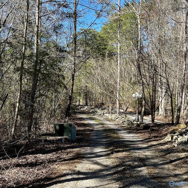 10ACRES Bear Creek Rd SE, Fort Payne, AL 35967