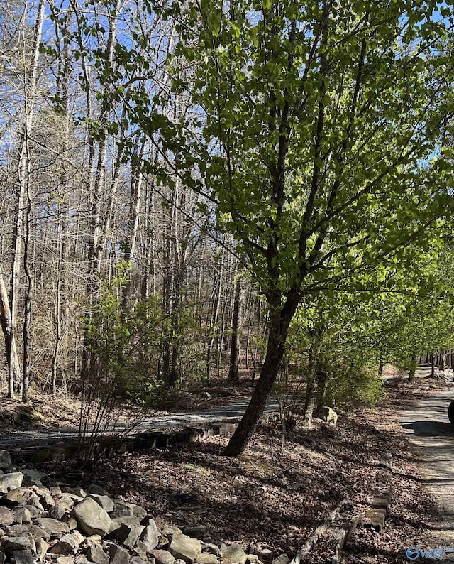 10ACRES Bear Creek Rd SE, Fort Payne, AL 35967