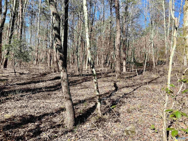 10ACRES Bear Creek Rd SE, Fort Payne, AL 35967
