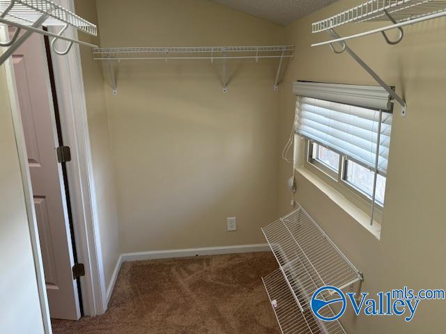 walk in closet featuring carpet floors and lofted ceiling