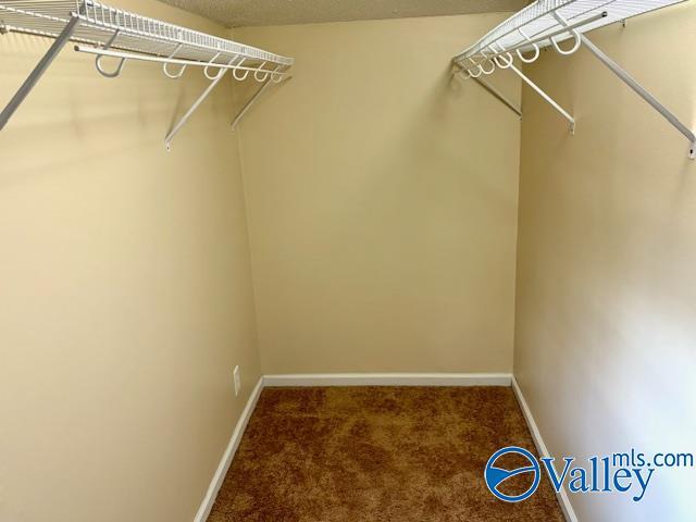 spacious closet featuring carpet flooring