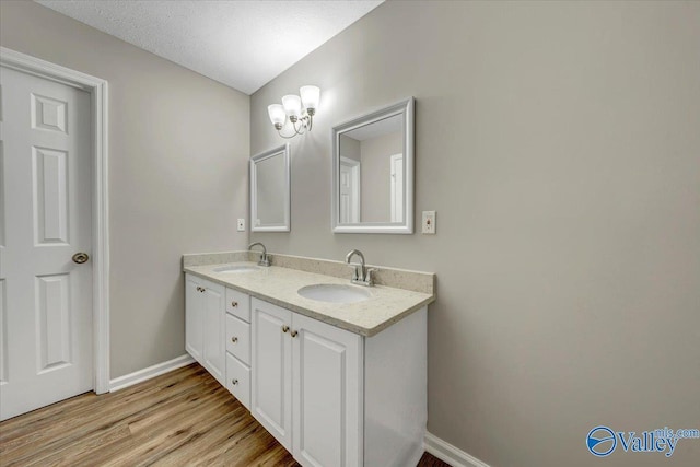 bathroom with hardwood / wood-style flooring and vanity