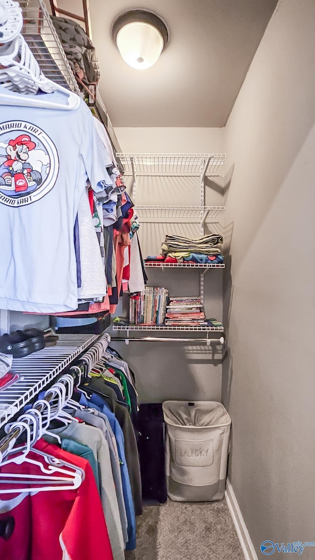 walk in closet with carpet flooring