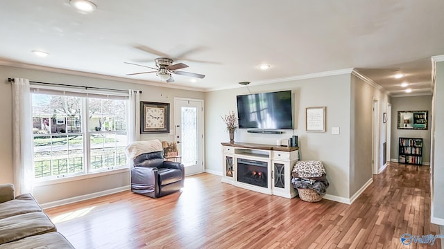 living room featuring a warm lit fireplace, wood finished floors, a ceiling fan, baseboards, and crown molding