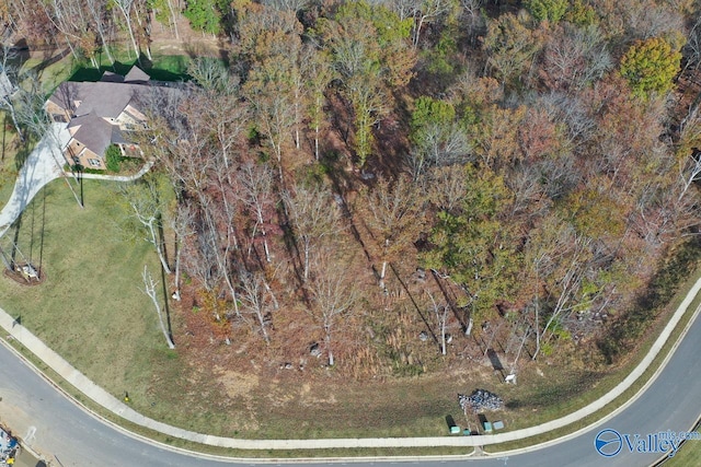 2 Watson Grande Way, Owens Cross Roads, AL 35793