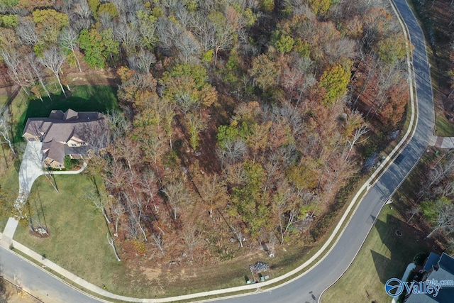 2 Watson Grande Way, Owens Cross Roads, AL 35793