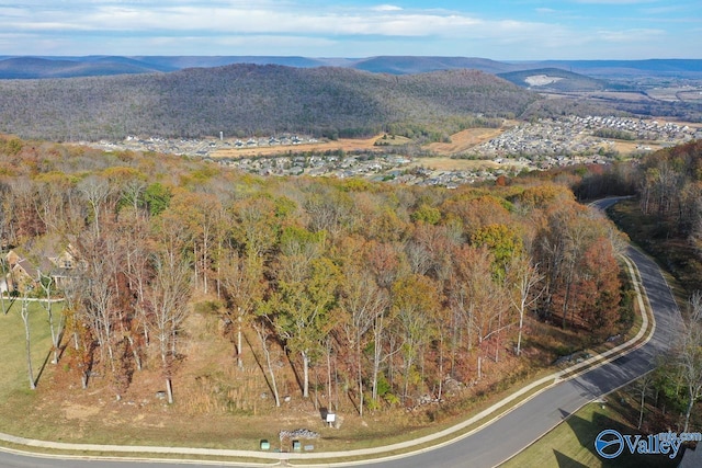 2 Watson Grande Way, Owens Cross Roads, AL 35793