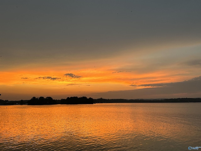 property view of water