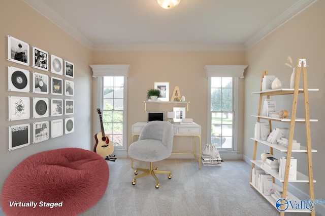 102 Twin Island Cir, Madison, AL 35758 - home office with ornamental molding, carpet, healthy amount of natural light, and baseboards