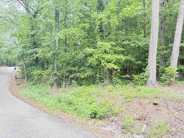 LOT72 Holiday Shores Rd, Scottsboro, AL 35769