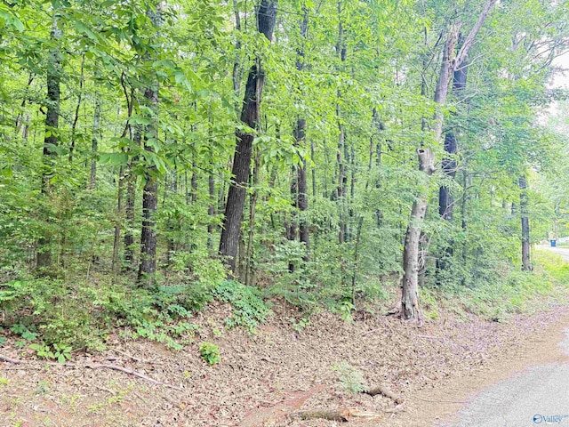LOT72 Holiday Shores Rd, Scottsboro, AL 35769