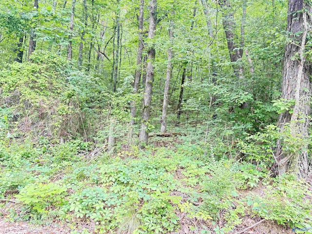 LOT72 Holiday Shores Rd, Scottsboro, AL 35769