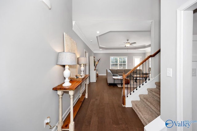 foyer entrance featuring dark wood-type flooring, a ceiling fan, stairs, a tray ceiling, and crown molding