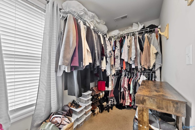 spacious closet featuring carpet and visible vents