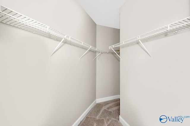 walk in closet with light colored carpet