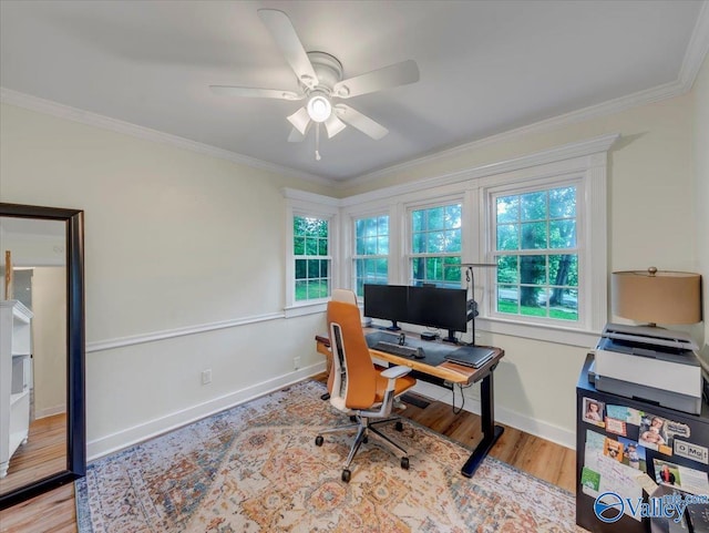 1901 Governors Dr SE, Huntsville, AL 35801 - office space with ceiling fan, wood finished floors, and ornamental molding