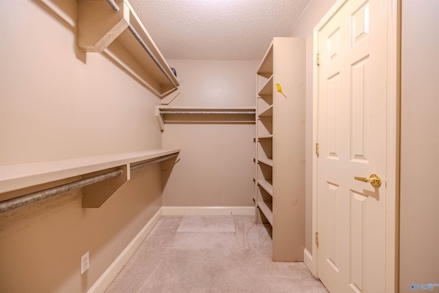 walk in closet featuring light colored carpet
