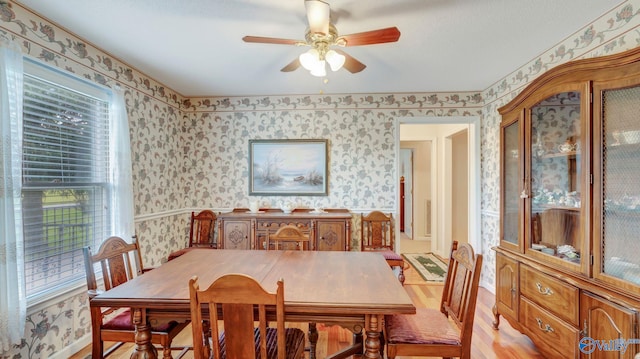 565 Joe Quick Rd, Hazel Green, AL 35750 - dining space with wallpapered walls, ceiling fan, light wood-style floors, and plenty of natural light