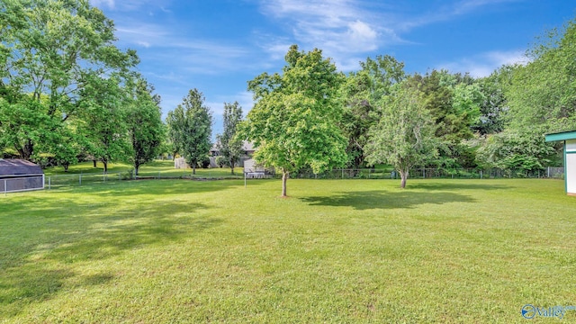 565 Joe Quick Rd, Hazel Green, AL 35750 - view of yard