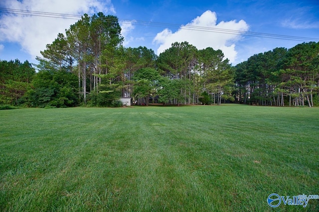 view of yard