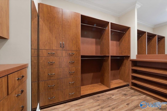 spacious closet with light hardwood / wood-style flooring