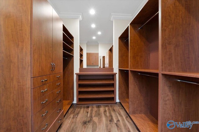 walk in closet with hardwood / wood-style floors