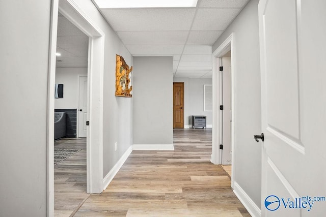 hallway with light wood finished floors, a drop ceiling, and baseboards