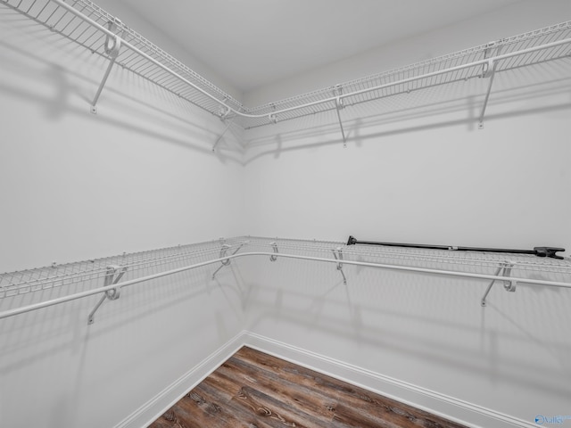 walk in closet featuring dark wood-type flooring