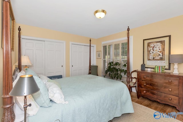 bedroom with multiple closets and wood finished floors