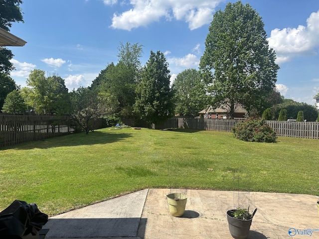 view of yard featuring a patio and a fenced backyard