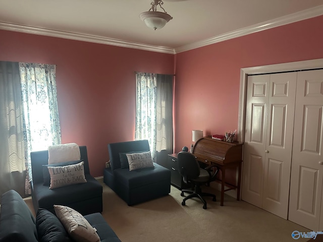 office with carpet floors, ornamental molding, and a wealth of natural light