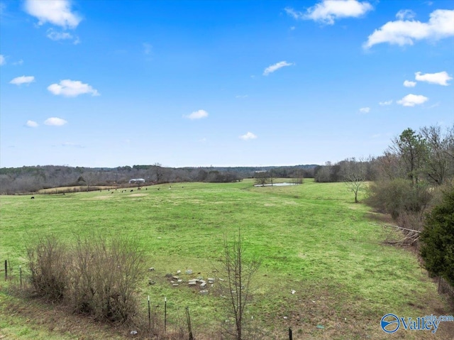 30ACRES/- Stone Rd, Albertville AL, 35951 land for sale