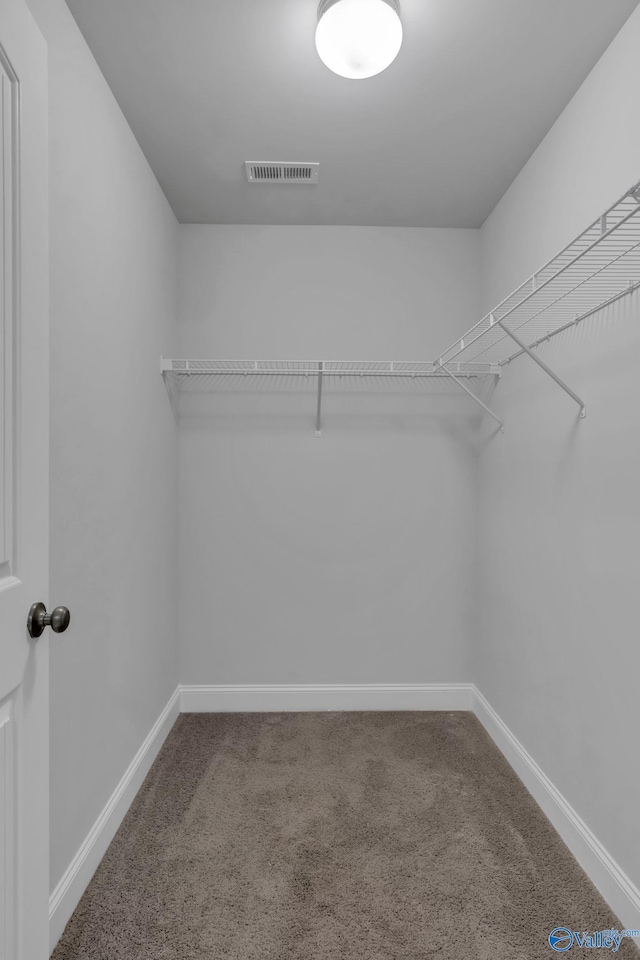 spacious closet featuring visible vents and carpet floors