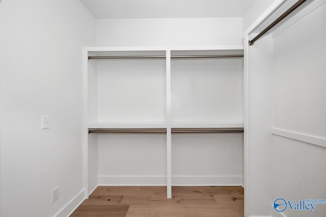 spacious closet featuring wood finished floors