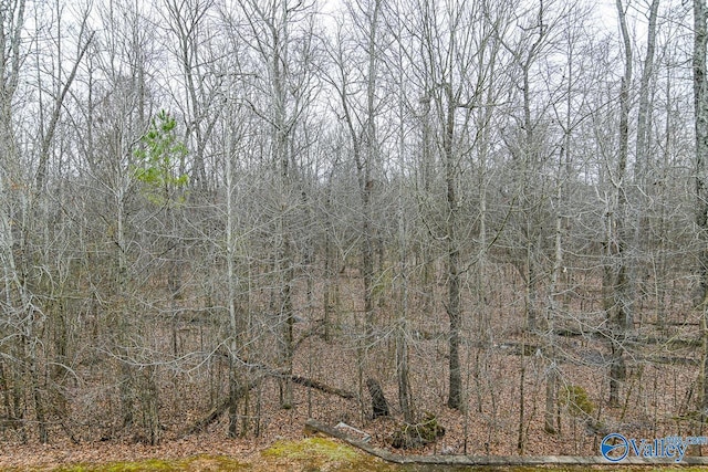 view of landscape