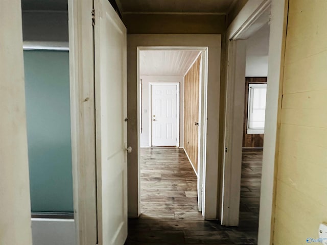 hall featuring wood-type flooring