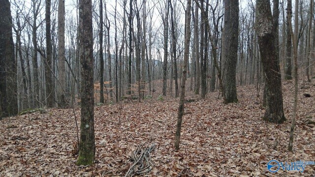 14/3ACRES Black Hawk, Gurley, AL 35748