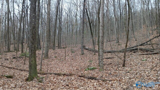 14/3ACRES Black Hawk, Gurley, AL 35748