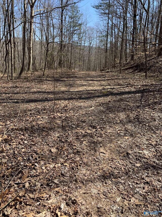 14/3ACRES Black Hawk, Gurley, AL 35748