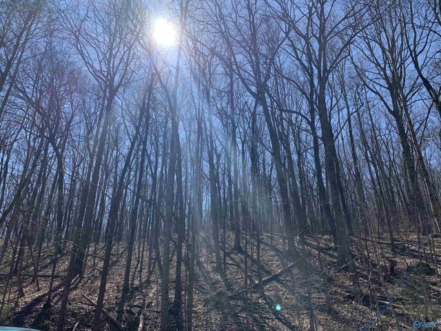 14/3ACRES Black Hawk, Gurley, AL 35748