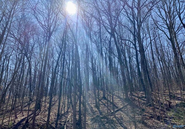 14/3ACRES Black Hawk, Gurley, AL 35748