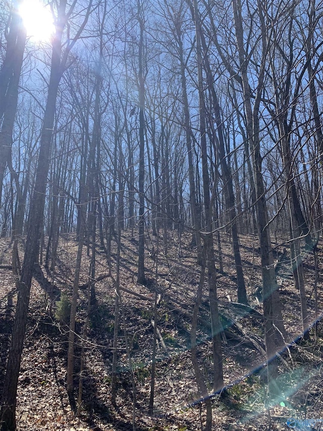 14/3ACRES Black Hawk, Gurley, AL 35748
