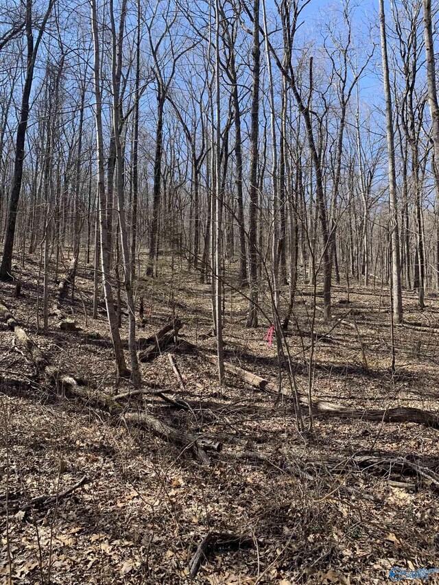 14/3ACRES Black Hawk, Gurley, AL 35748